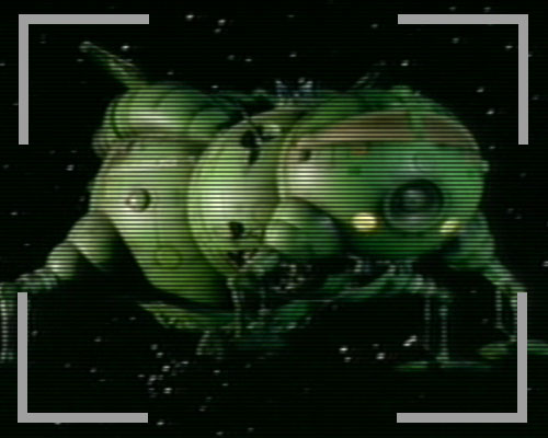 Starbug