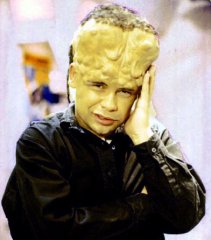 I know Kryten cooked a rice pudding... but where did he hide the smegging thing?