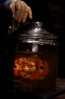 Is is jam? Is it a pickled onion? No, it's Dave's brain!